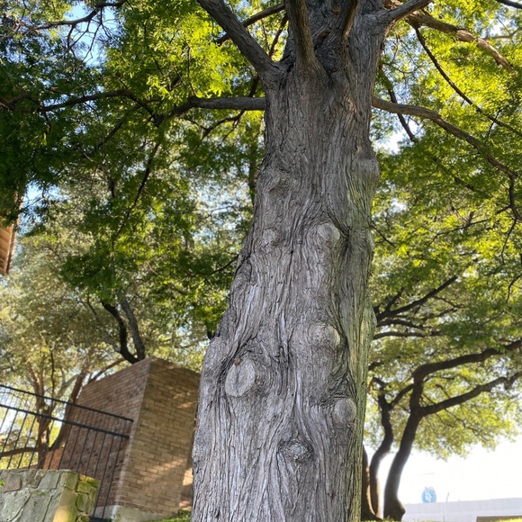 Sharing to support each other! 🌻🥰 - Picture 6 of 7